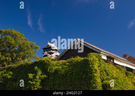 Schloss Kumamoto im Herbst, Präfektur Kumamoto, Japan Stockfoto