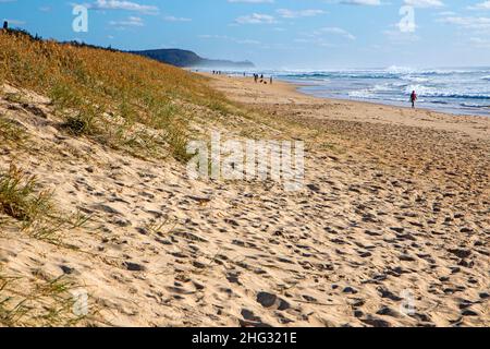 Sunrise Beach an der Sunshine Coast Stockfoto