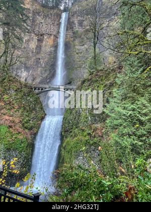 Multnomah Falls ist ein Wasserfall am Multnomah Creek in der Columbia River Gorge, östlich von Troutdale, zwischen Corbett und Dodson, Oregon, United S. Stockfoto