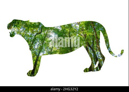 Tiger World Wildlife Day Waldsilhouette in Form eines Wildtier- und Waldschutzkonzepts Stockfoto