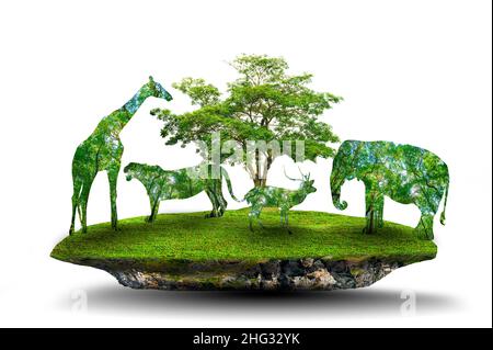World Wildlife Day Wald Silhouette in Form eines wilden Tier Tierwelt und Waldschutz Konzept Stockfoto