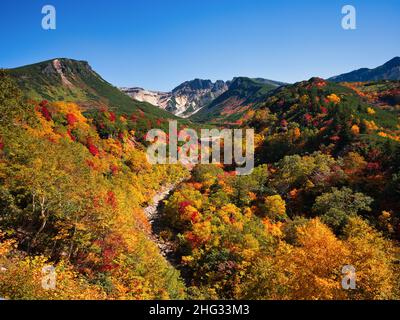 Herbstlaub, Tokachidake Onsen, Hokkaido, Japan Stockfoto