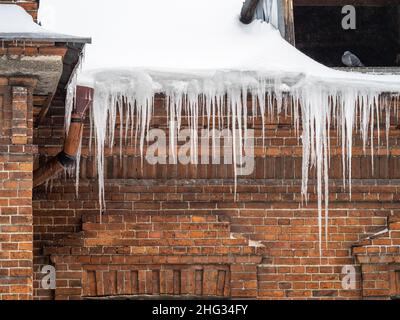 Große Eiszapfen hängen vom Dach eines alten Ziegelbaus. Dach des alten Gebäudes mit scharfen Eiszapfen bedeckt. Eis-Tropfstein. Schlechte Wärmedämmung Stockfoto