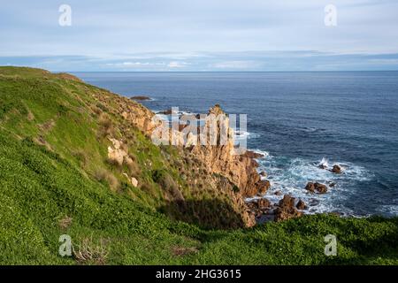 Felsige Aufschlüsse an der zerklüfteten Küste der Mornington Peninsula in Melbourne, Australien Stockfoto
