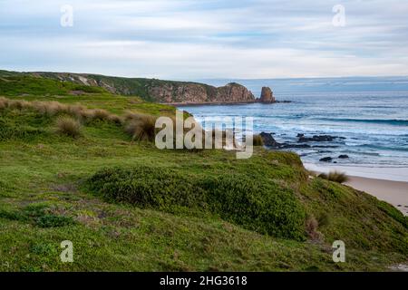 Grasbewachsene Küste mit felsigen Aufschlüssen am Ozeanstrand in Australien Stockfoto