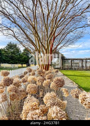 Carnton ist ein historisches Haus und Museum in Franklin, Williamson County, Tennessee, USA. Die Plantage spielte während und imm eine wichtige Rolle Stockfoto