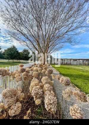 Carnton ist ein historisches Haus und Museum in Franklin, Williamson County, Tennessee, USA. Die Plantage spielte während und imm eine wichtige Rolle Stockfoto