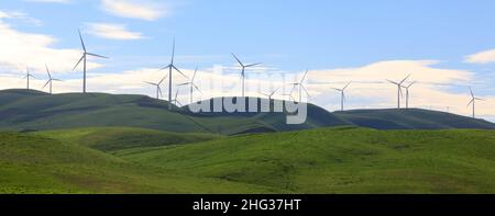 Turbinen im Windpark Altamont Pass in der Nähe von Livermore, Kalifornien, USA. Stockfoto