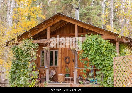 Eine Holzhütte in einem Wald an einem Herbsttag. Details einer Blockhütte im Wald. Reisefoto, niemand, selektiver Fokus Stockfoto