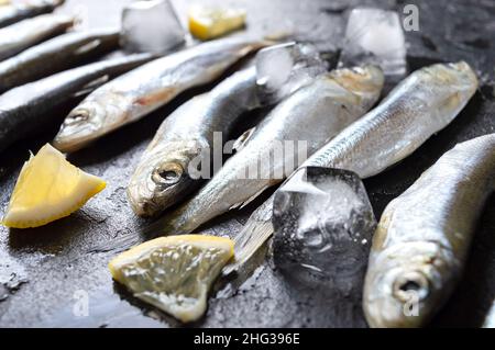 Frischer roher kleiner Meeresfisch, Zitrone und Eis auf schwarzem Hintergrund. Nahaufnahme, selektiver Fokus. Stockfoto