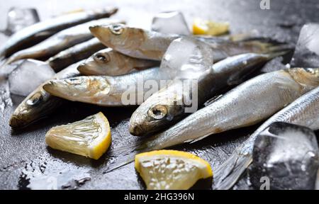 Frischer roher kleiner Meeresfisch, Zitrone und Eis auf schwarzem Hintergrund. Nahaufnahme, selektiver Fokus. Stockfoto