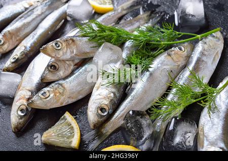 Frisch gefangener Ostseehering auf schwarzem Steingrund mit Eis. Gekühlter Fisch mit Zitrone und Dill. Kulinarische Meeresfrüchte Hintergrund. Stockfoto