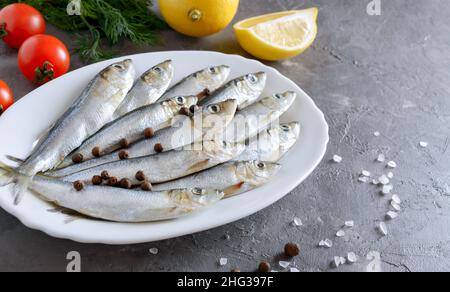 Frisch gefangener Meeresfisch auf einem Teller auf grauem Beton-Hintergrund mit Kopierraum. Sardinen, fertig zum Kochen mit Zitrone, grobem Meersalz. Stockfoto