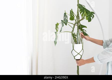 Handgemachte grüne Macrame-Pflanzenhänger mit Topfpflanze hängen an der Hand der Frau. Topf und Monstera-Pflanze Stockfoto