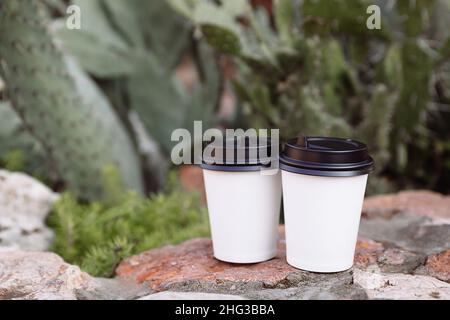 Zwei Tassen Kaffee zum Verreisen, Tassen in weißem Papier auf den Steinen. Hinter den Steinen wächst ein Kaktus. Stockfoto