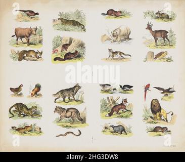 Die Farbabbildungen von Wildtieren und Vögeln aus dem 19th. Jahrhundert. 1870 Fasan, Kuh, Eichhörnchen, jaguar, Fuchs, biber, Hase, Eisbär, Rehe, Eule, d Stockfoto