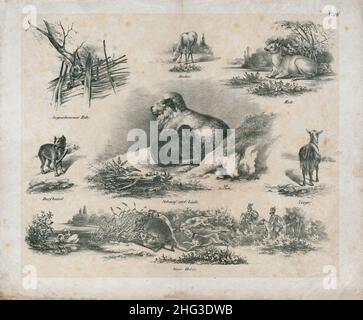 Die Vintage-Illustrationen aus dem 19th. Jahrhundert von Haus- und Wildtieren. Deutsch, 1850 Landschaftsskizzen eines deutschen Jägers aus dem 19th. Jahrhundert. Stockfoto