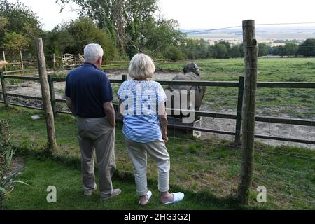 Rhino Lodge im Port Lympne Animal Reserve, Kent, Großbritannien Stockfoto