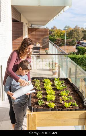 Mutter und Sohn gießen Gemüse in ihrem Stadtgarten Stockfoto