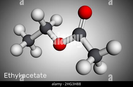 Ethylacetat, Ethylethanat, C4H8O2-Molekül. Es ist Acetatester, der zwischen Essigsäure und Ethanol gebildet wird. Molekularmodell. 3D Rendern. Illustrati Stockfoto
