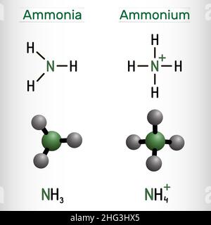 Ammonium Kation, NH4 und Ammoniak, NH3 Molekül. Strukturelle chemische Formel und Molekülmodell. Vektorgrafik Stock Vektor