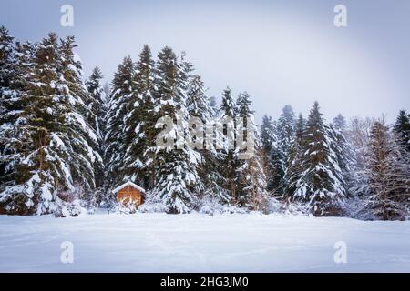 Der Lac de Payolle ist ein künstlicher See in den französischen Pyrenäen. Es befindet sich in den Gemeinden Campan und Arreau des Departements Hautes-Pyrénées Stockfoto