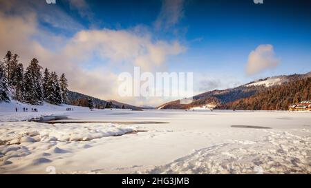 Der Lac de Payolle ist ein künstlicher See in den französischen Pyrenäen. Es befindet sich in den Gemeinden Campan und Arreau des Departements Hautes-Pyrénées Stockfoto