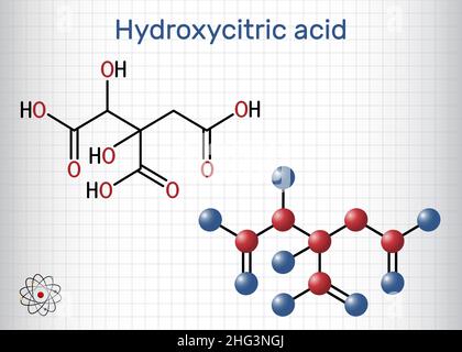 Hydroxyzitronensäure, HCA-Molekül. Es ist ein Derivat der Zitronensäure. Strukturelle chemische Formel, Molekülmodell. Blatt Papier in einem Käfig. Vektor-Illus Stock Vektor