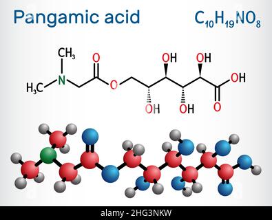 Pangaminsäure, Pangamatmolekül. Es handelt sich um Vitamin B15, Ester aus Gluconsäure und Dimethylglycin. Strukturelle chemische Formel und Molekül m Stock Vektor