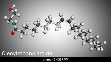 Oleoylethanolamid, Oleoylethanolamid, OEA-Molekül. Es ist Ethanolamid aus Ölsäure, einfach ungesättigte Analogon des Endocannabinoids Anandamid. Molec Stockfoto