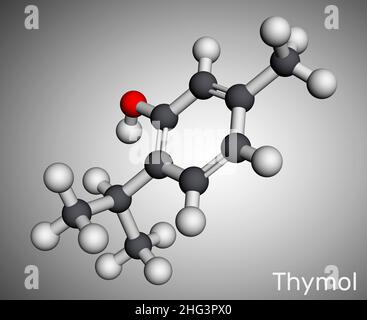 Thymol, IPMP-Molekül. Es ist Phenol, ein natürliches Monoterpen-Derivat von Cymen. Aus Thymianöl oder anderen flüchtigen Ölen gewonnen. Molekularmodell. 3D ren Stockfoto