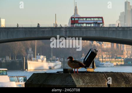Westminster, London, Großbritannien. 18th. Januar 2022. UK Wetter: Ein kalter und frostiger Morgen im Zentrum von London. Kredit: Matthew Chattle/Alamy Live Nachrichten Stockfoto
