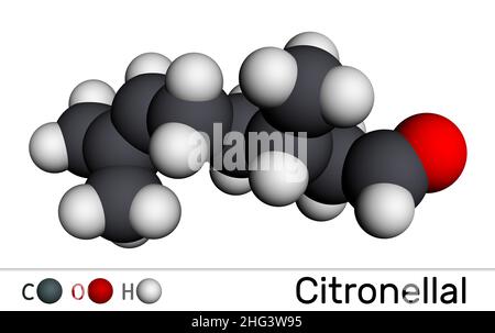 Citronellales, rhodinales Molekül. Es handelt sich um Monoterpenoidaldehyd, die Hauptkomponente, die dem Zitronenöl seinen unverwechselbaren Zitronenduft verleiht. Molekularmodell. 3D Stockfoto