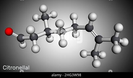 Citronellales, rhodinales Molekül. Es handelt sich um Monoterpenoidaldehyd, die Hauptkomponente, die dem Zitronenöl seinen unverwechselbaren Zitronenduft verleiht. Molekularmodell. 3D Stockfoto