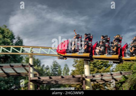 The Swarm and Saw the Ride (aus dem Film) im Thorpe Park Theme Park Amusement Park London England Stockfoto