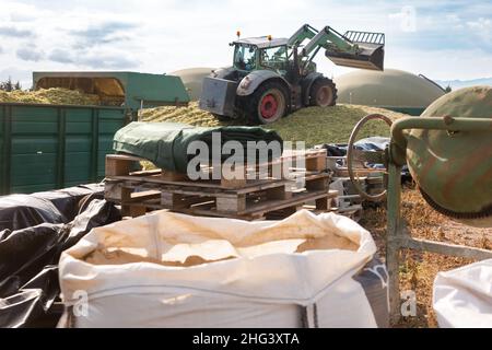 Gewinnung von Silage Stockfoto