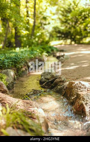 Schnell fließender Waldwasserfall, der durch Felsen und Steine, umgeben von Bäumen, fließt Stockfoto