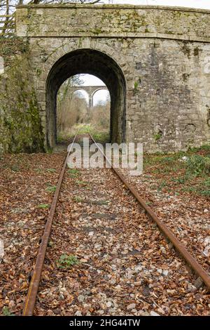 Combe Kreuzung Looe Valley Line Liskeard Cornwall Stockfoto