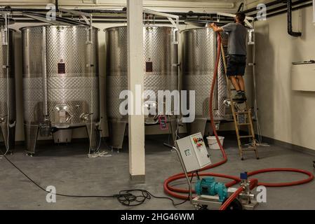 Monthelie, Frankreich - 30. Juni 2020: Mann, der in Edelstahlweinfässern im Weingut Les Hauts Bins in Monthelie in Burgund, Frankreich, arbeitet. Stockfoto