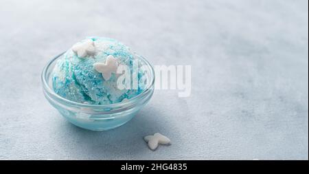 Heidelbeer-Eis in einer kleinen Schüssel auf grauem Hintergrund. Seitenansicht, Kopierbereich. Stockfoto