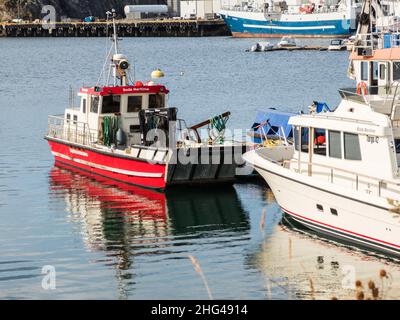 Ronvik Leira, Bodo, Norwegen - 18. August 2019: Nahaufnahme eines Fischerbootes in einer Marina. Der Yachthafen befindet sich im Hafen von Bodo. Nordland. Europa. Stockfoto