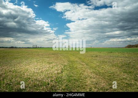 Weg durch eine riesige Wiese und Wolken zum Himmel, Frühlingstag Stockfoto