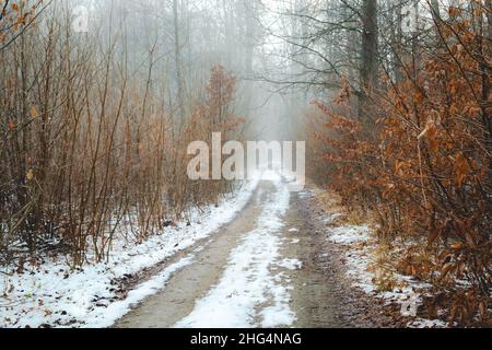 Unbefestigte Straße durch einen nebligen Winterwald, Dezembertag Stockfoto