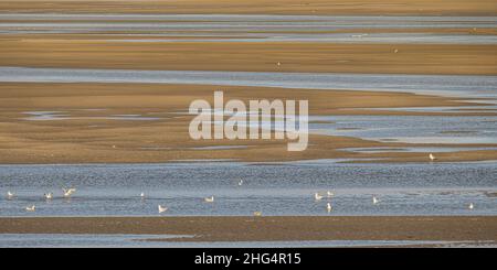 Baie de Somme, le Hourdel, chenal à marée basse, blockhaus, coucher de Soleil sur la mer , sable et balise. Stockfoto