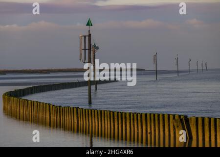 Le Cap Hornu, palplanches et espars à marée basse. Image de la Baie de Somme en picardie Stockfoto