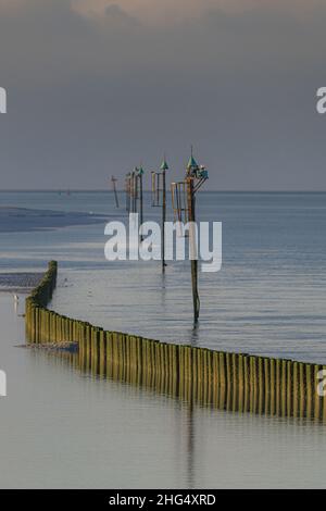 Le Cap Hornu, palplanches et espars à marée basse. Image de la Baie de Somme en picardie Stockfoto