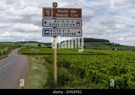 Beaune, Frankreich - 2. Juli 2020: Zeichen der Weinstraße im Burgund bei Beaune, Nuits St. George, Frankreich. Stockfoto