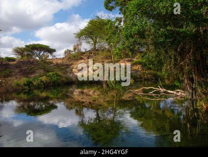 Mzima Springs, Coast Province, Tsavo West National Park, Kenia Stockfoto