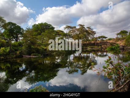 Mzima Springs, Coast Province, Tsavo West National Park, Kenia Stockfoto