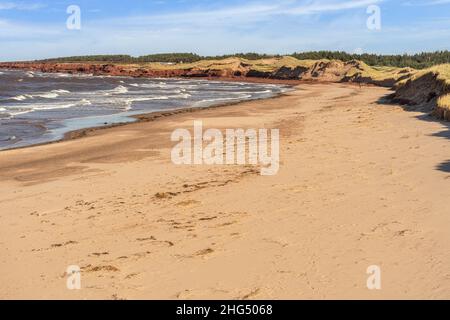 Cavendish Beach, im Prince Edward Island National Park, PEI, Kanada. Stockfoto